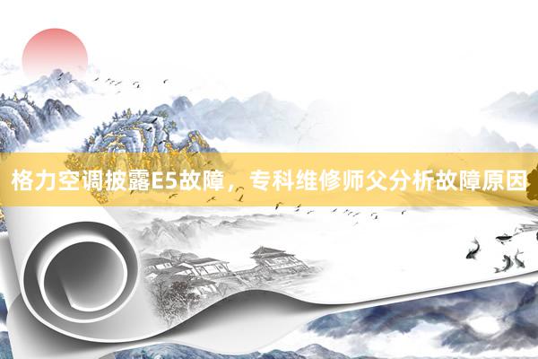 格力空调披露E5故障，专科维修师父分析故障原因